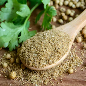 Coriander