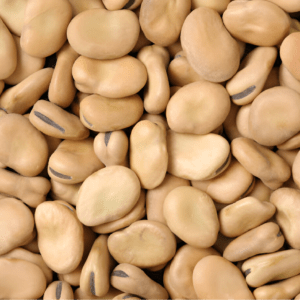 Fava Beans