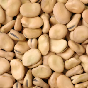 Fava Beans