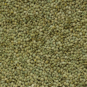 Green Lentils