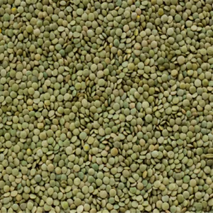 Green Lentils