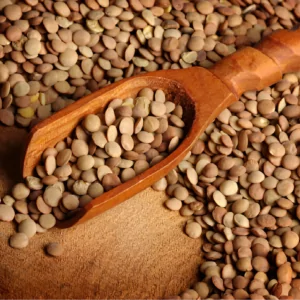Brown Lentils