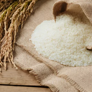 Rice